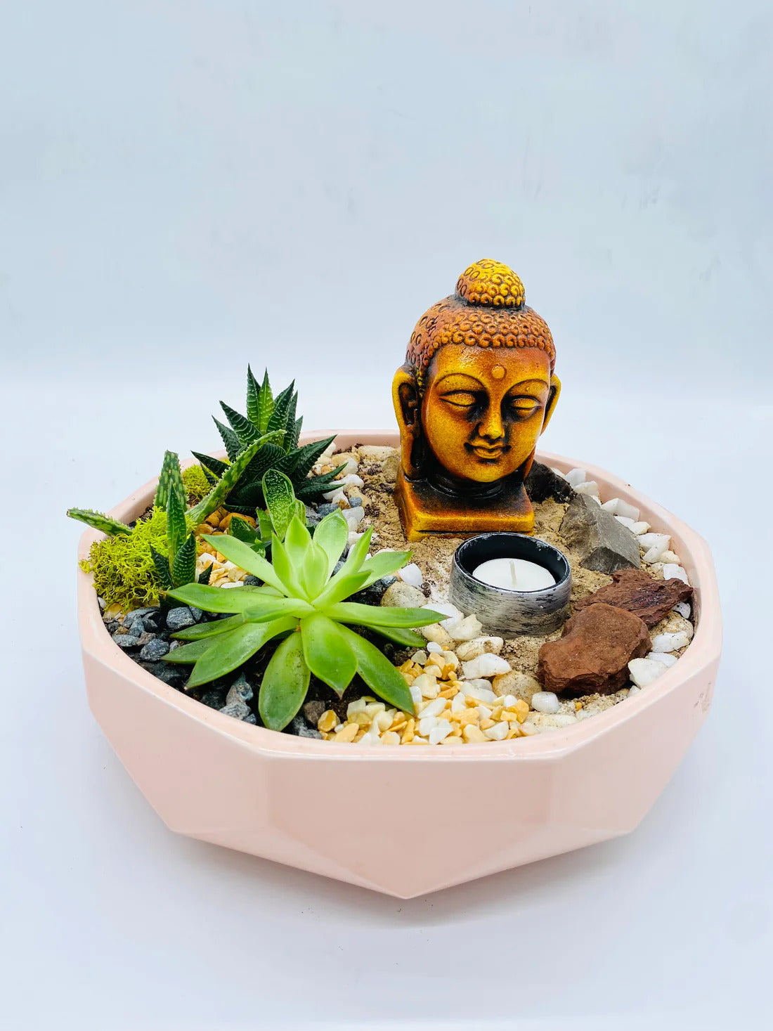 meenac garden spiritual terrariums collection dubai uae