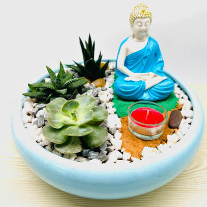 Blue Buddha Terrarium - Haworthia and  Echeveria