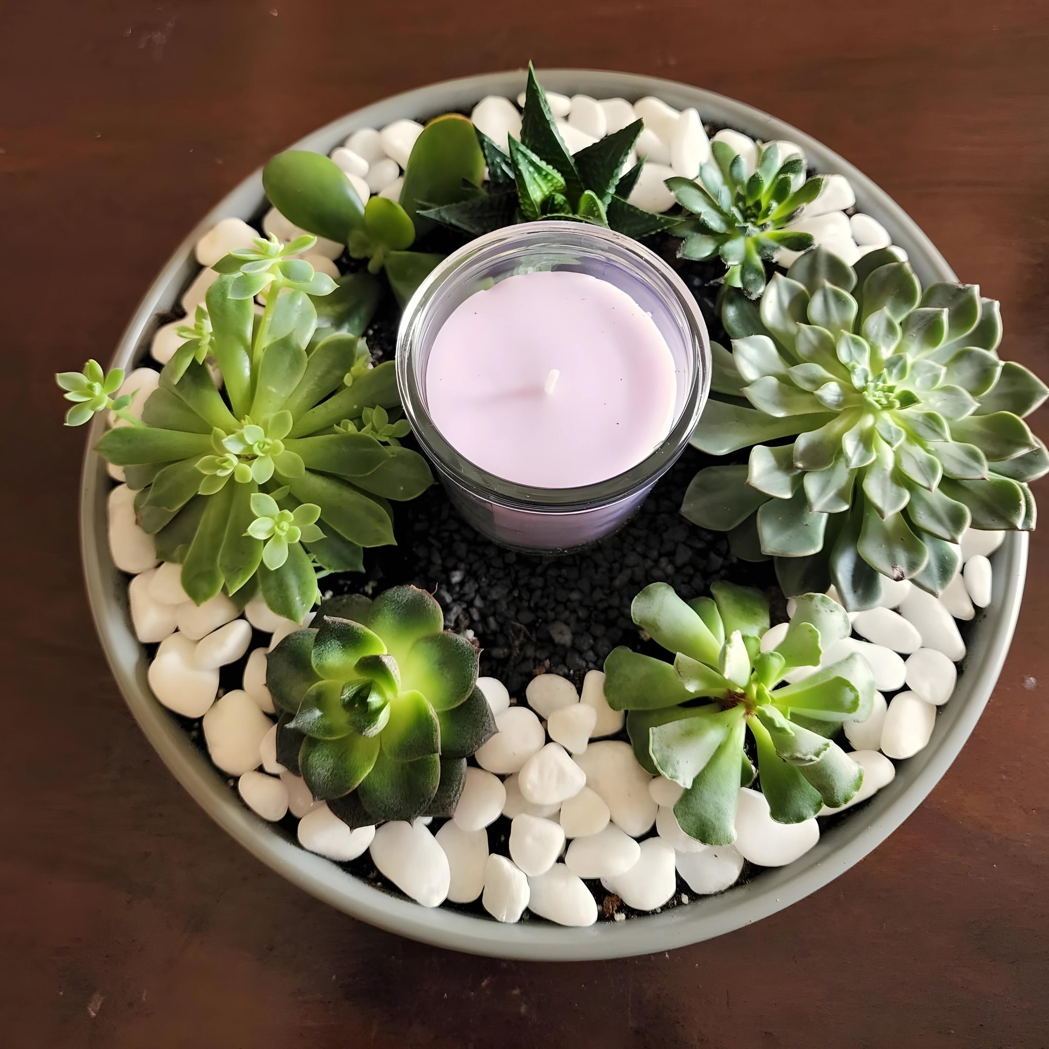 Candlelight Succulent Terrarium