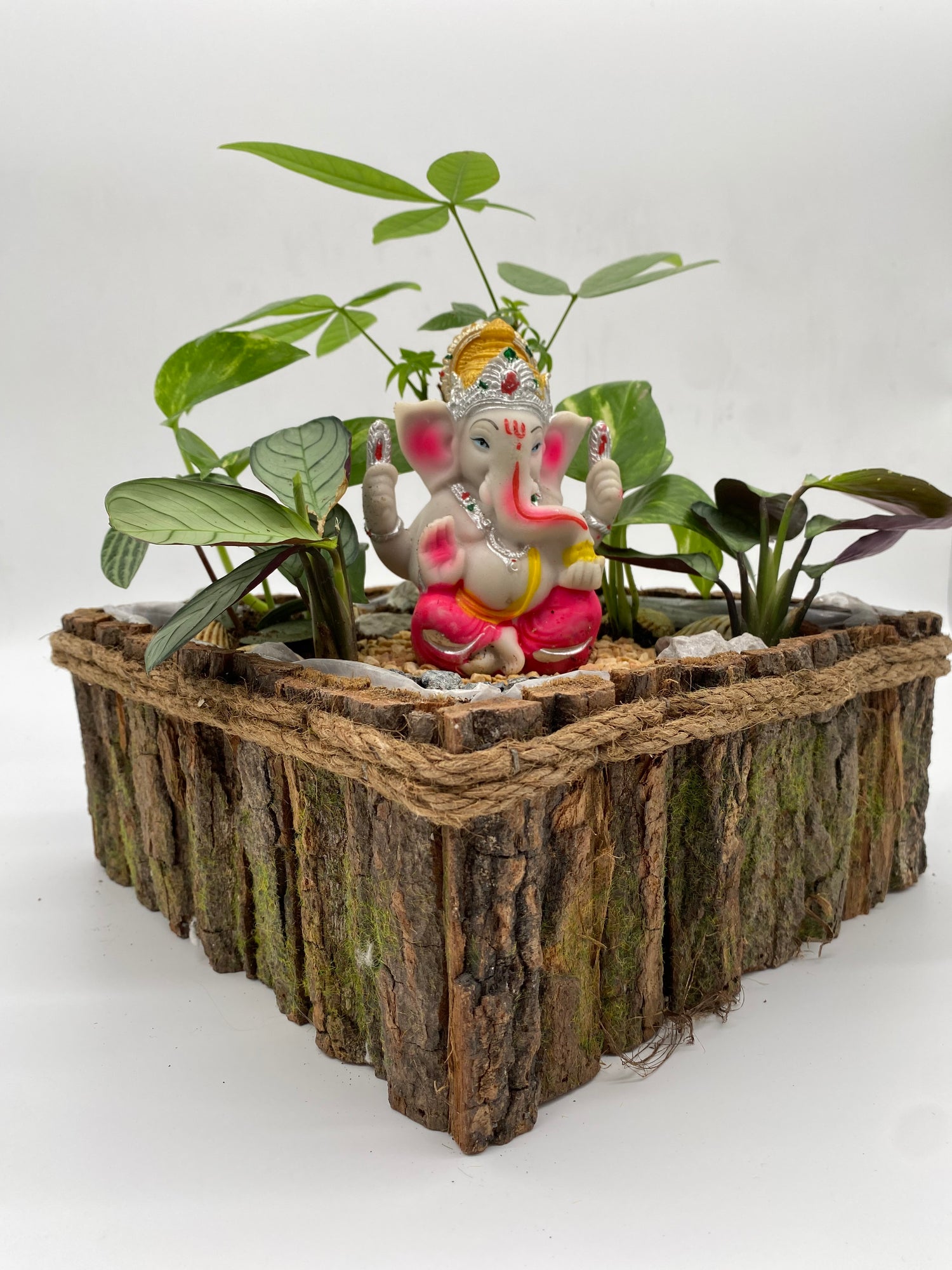 Ganesha with Calathea