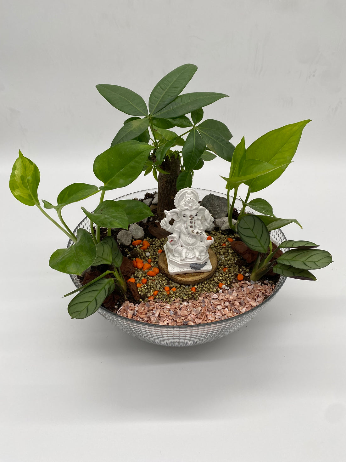 Ganesha Money Tree