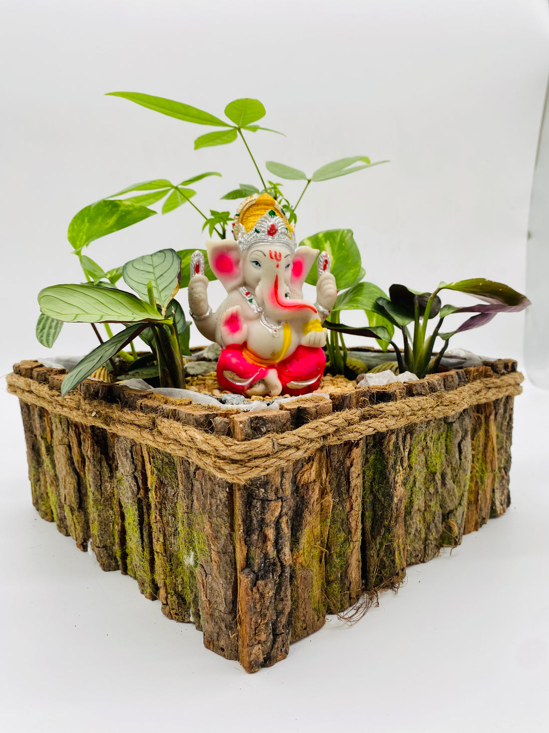 Ganesha with Calathea