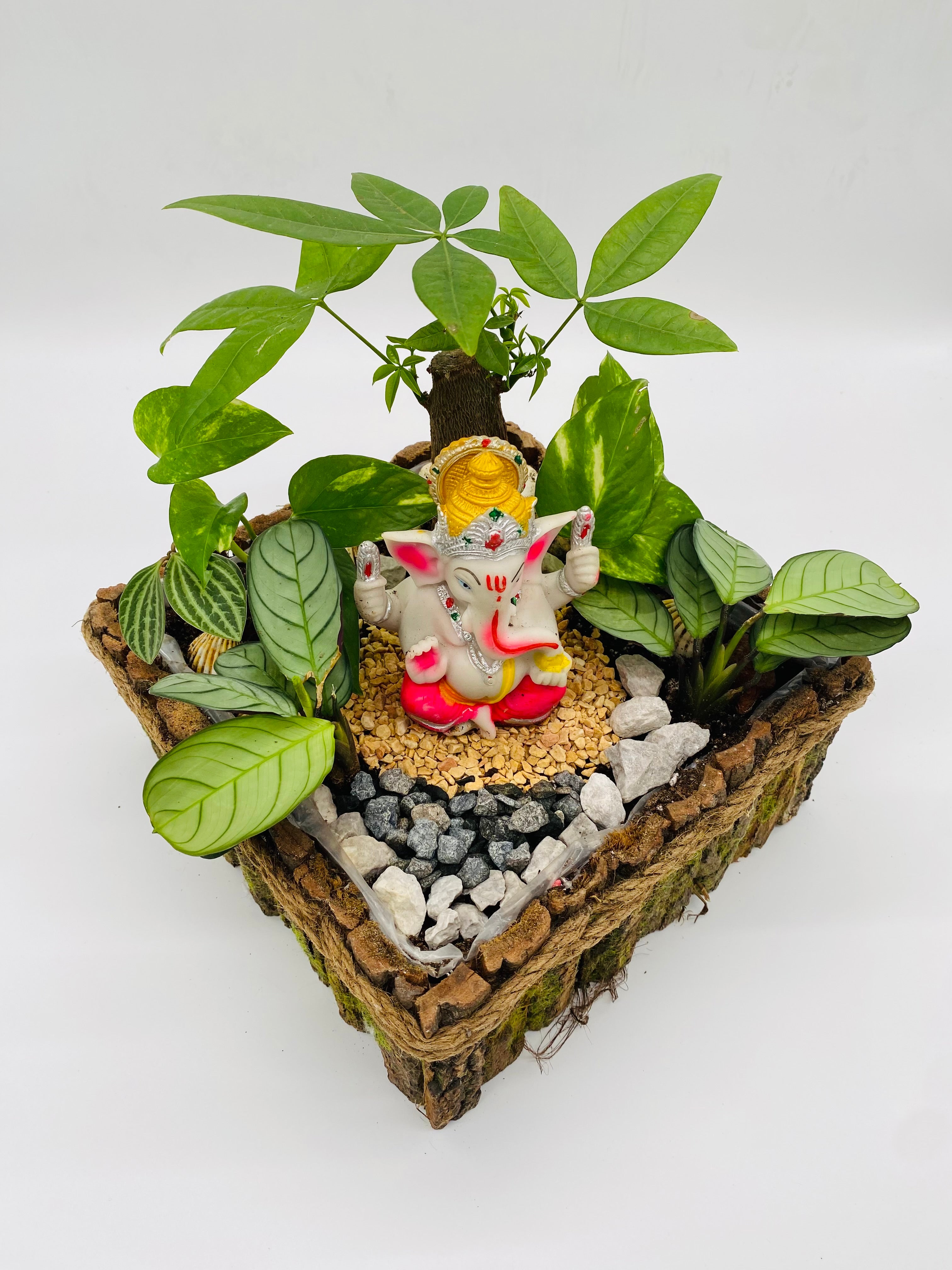 Ganesha with Calathea