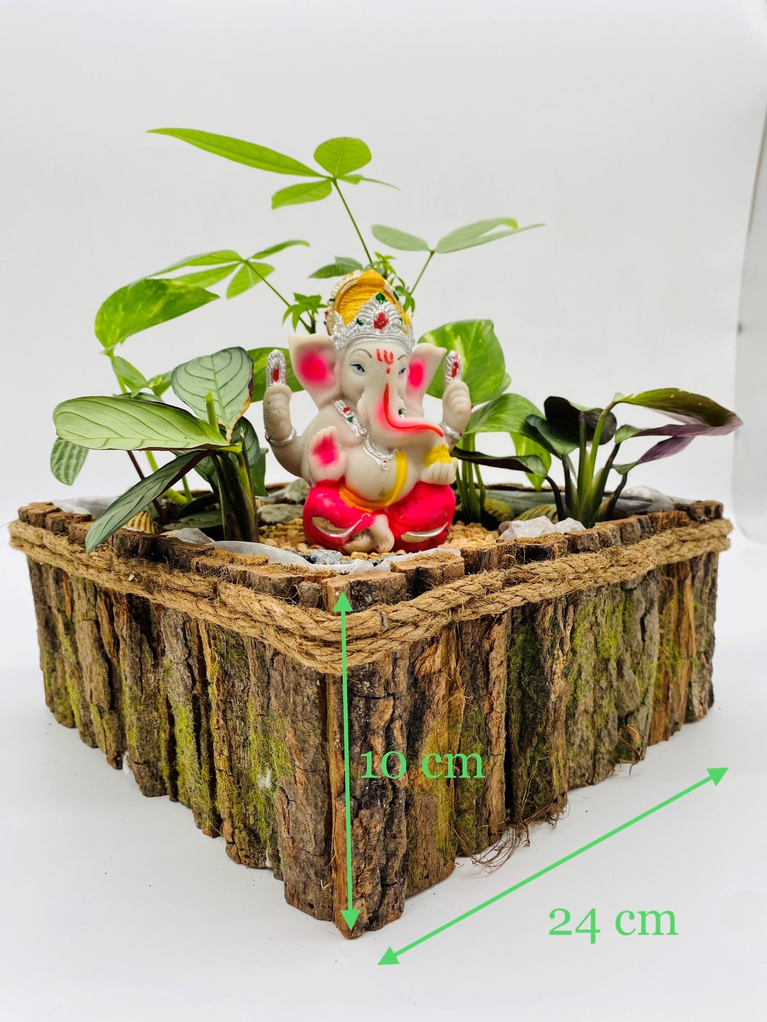 Ganesha with Calathea