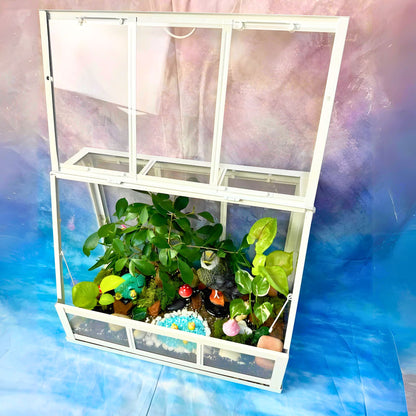 Huge Semi Closed Terrarium