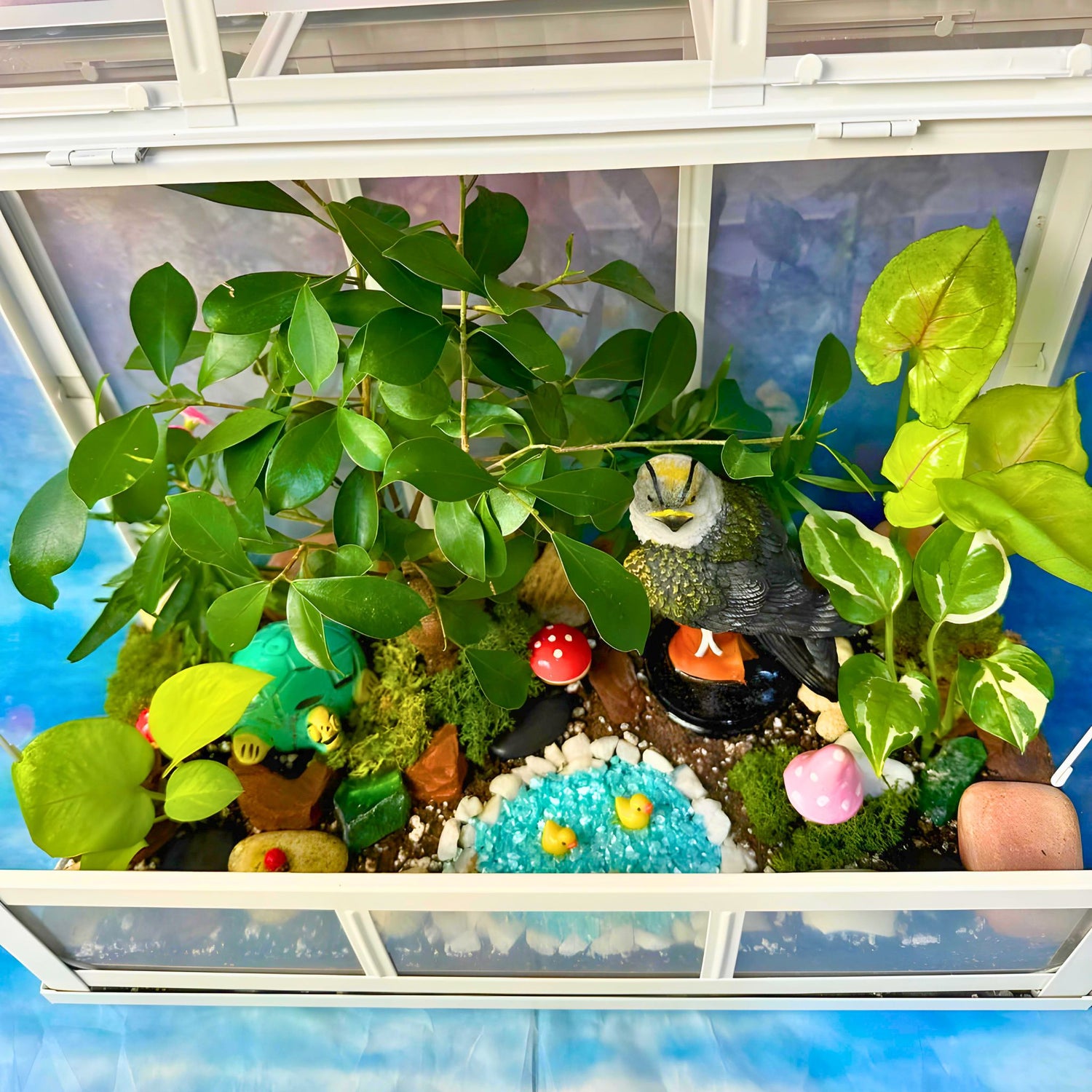 Huge Semi Closed Terrarium