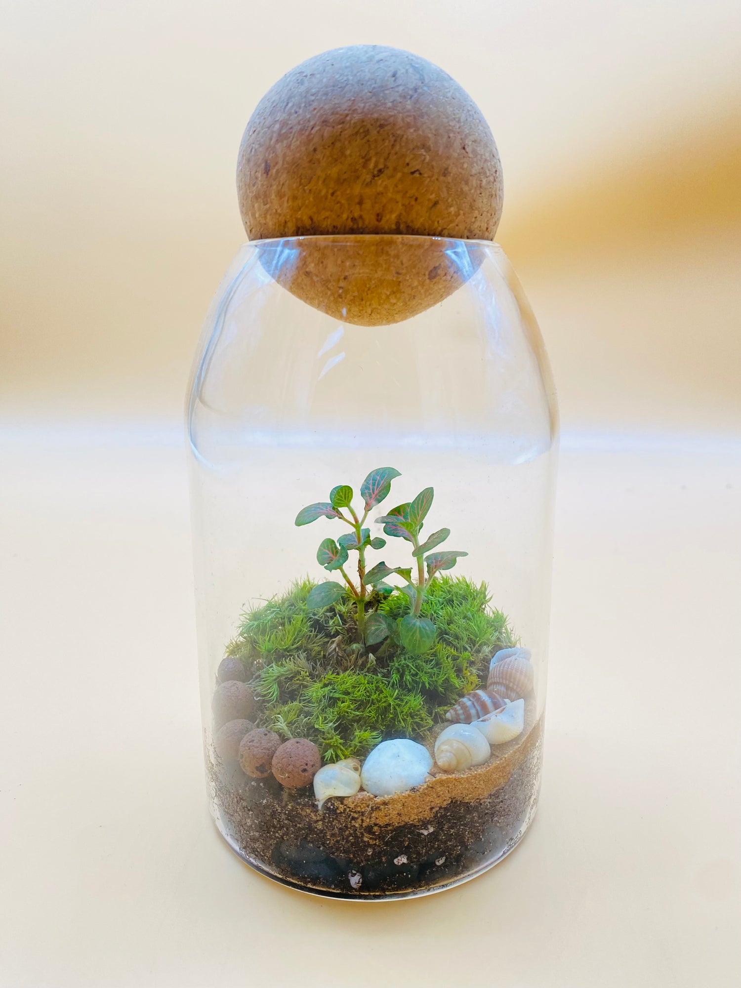 Eco-jar