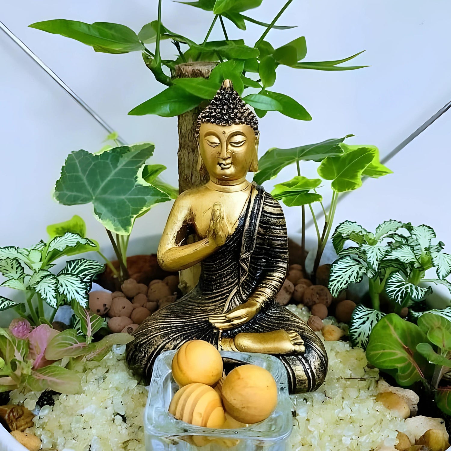 Meditating Budhha Terrarium