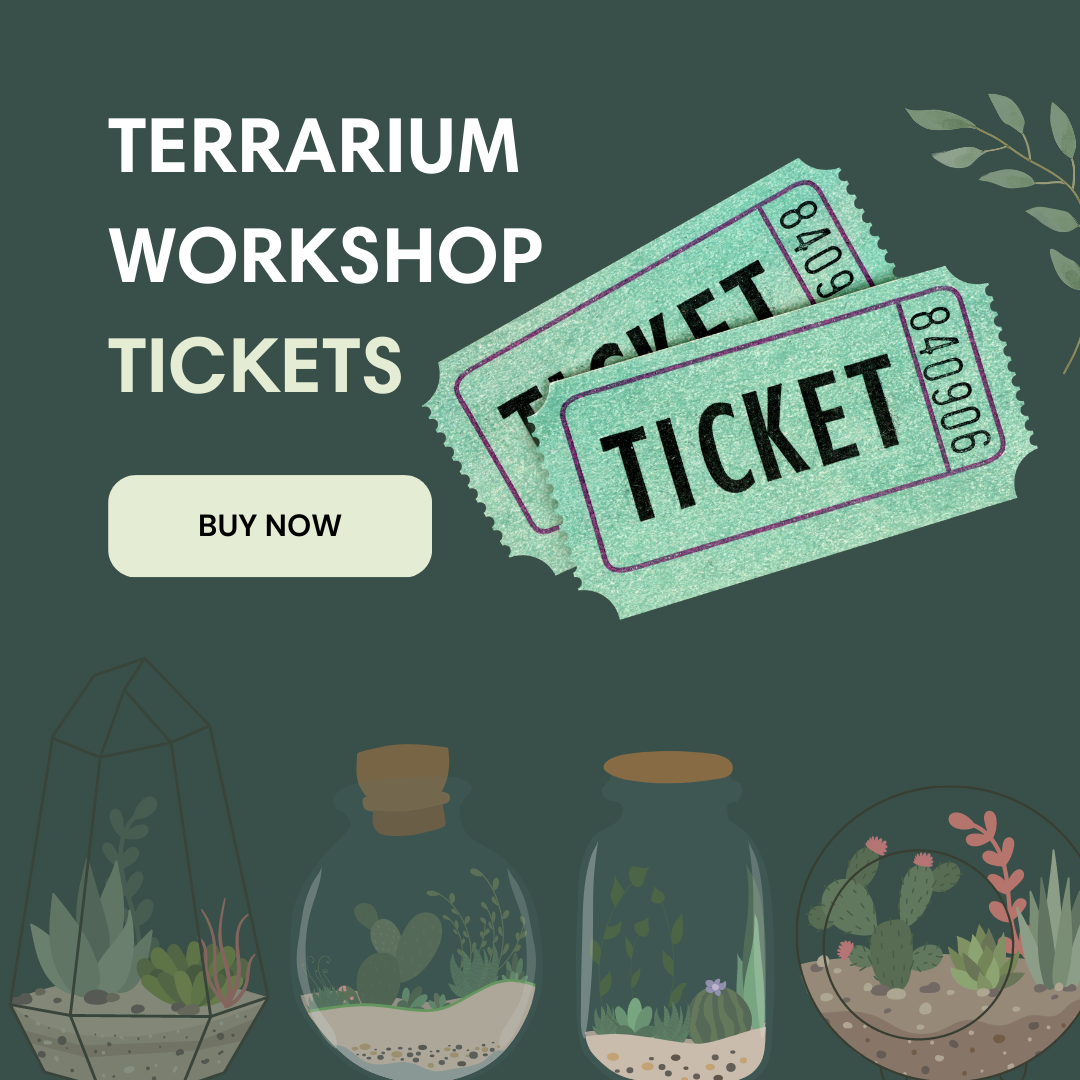 Terrarium Workshop Ticket