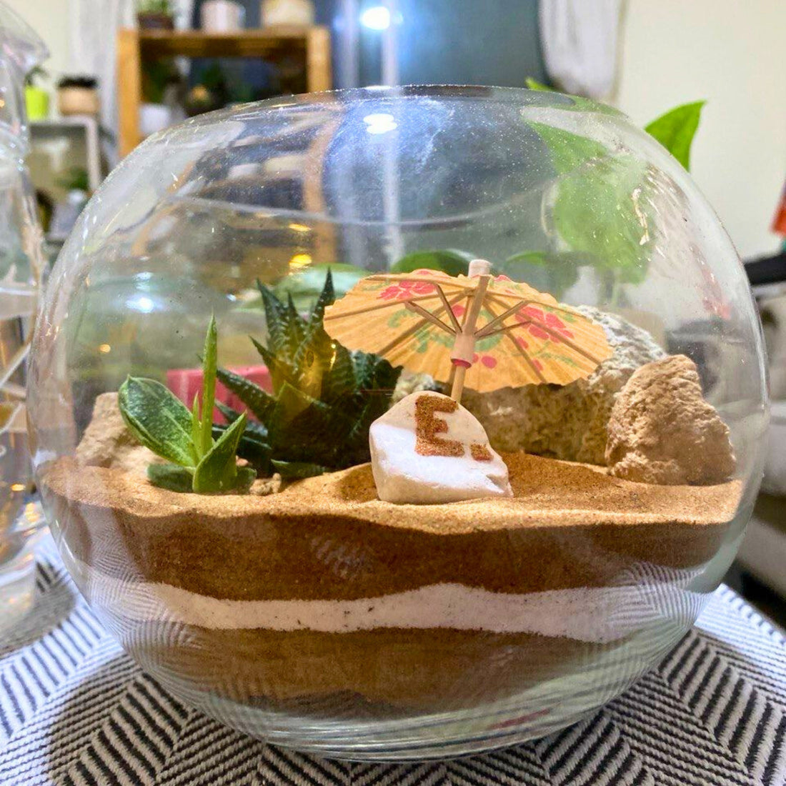 Desert Sand Terrarium