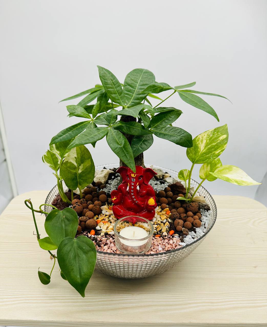 Ganesha Feng Shui Terrarium