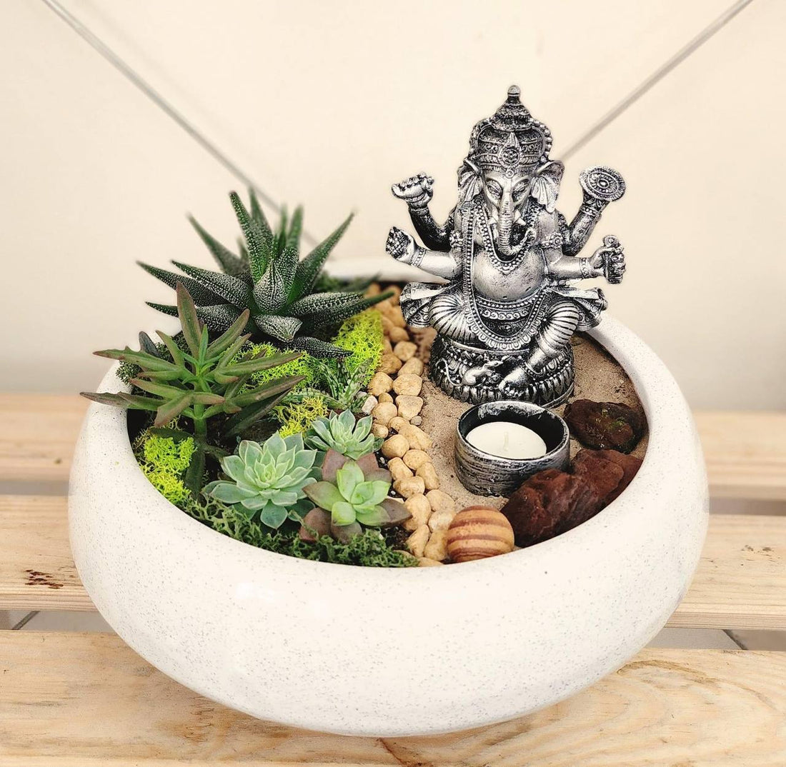 Succulent Sanctuary with Ganesha