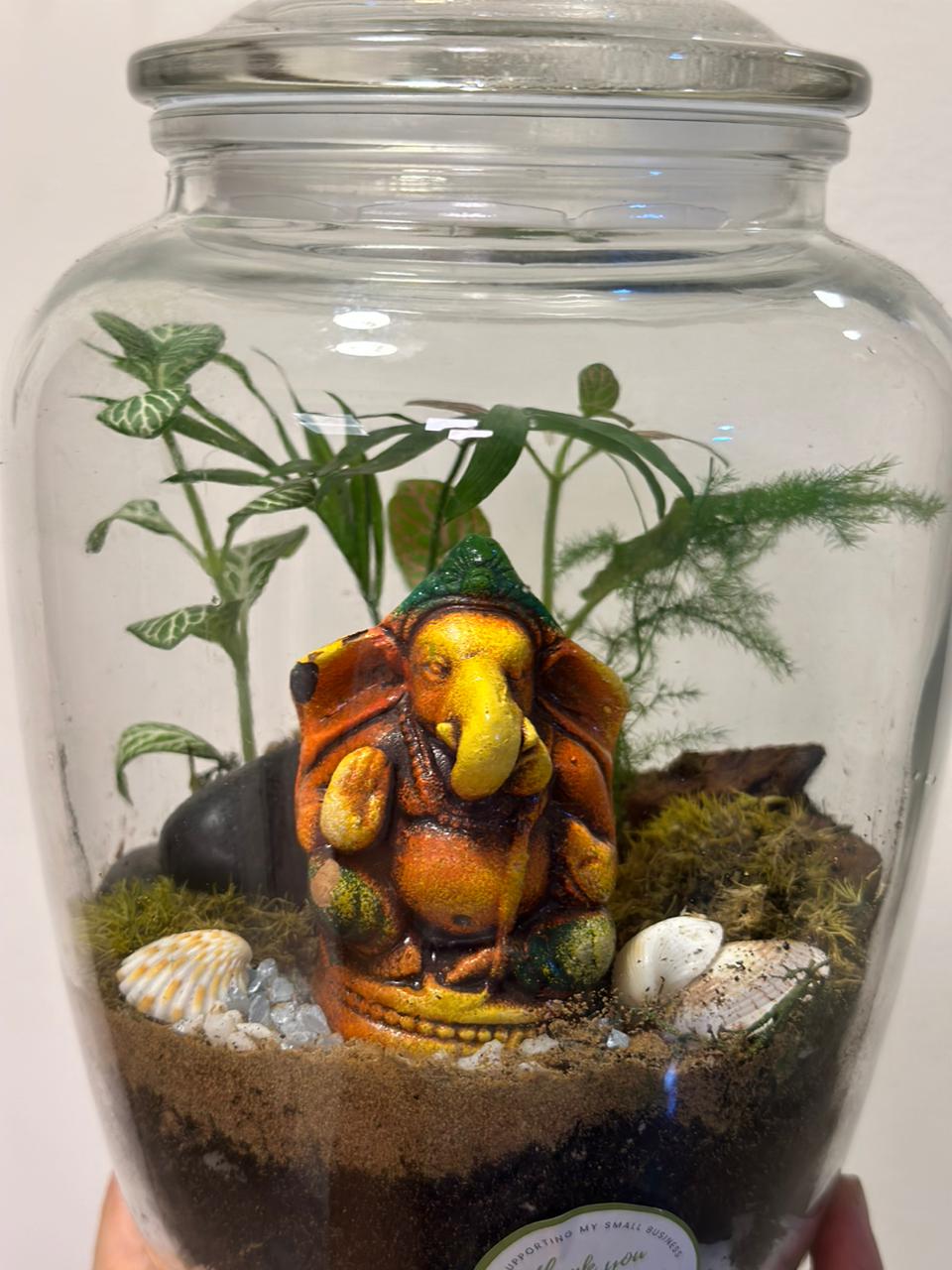 Ganesha’s Garden - A Terrarium with a Divine Touch