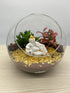 Peaceful Ganesha Terrarium