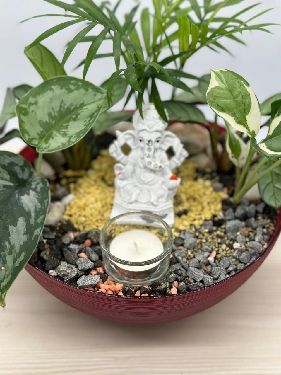 Ganesha’s Sacred Sanctuary Terrarium